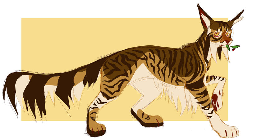 Tigerpetal © me